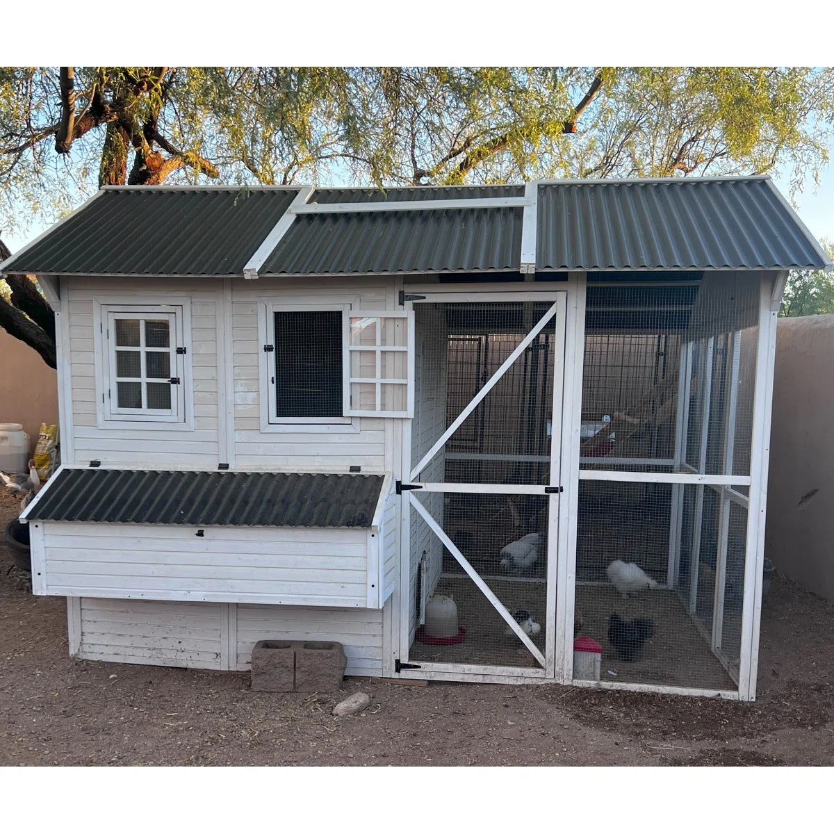 Zylina Modern Chicken Barn Coop For Up To 26 Chickens